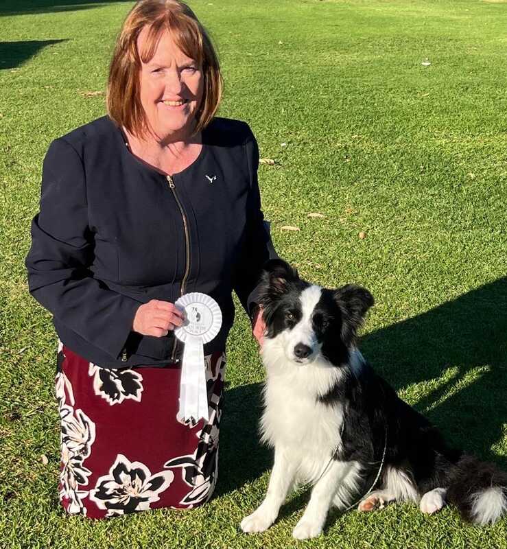 Secretary - Border Collie Club of South Australia Inc.
